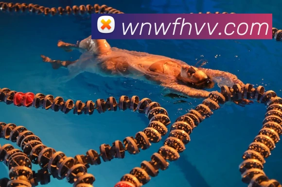 贝博体育APP 体育赛事宣传图